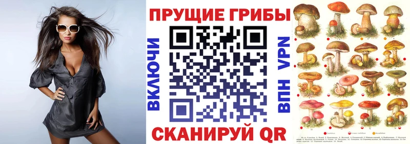 Галлюциногенные грибы ЛСД Купить где Аша